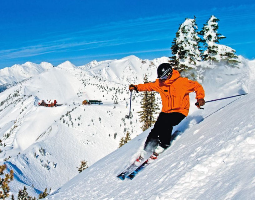 venice limousine ski mountain services