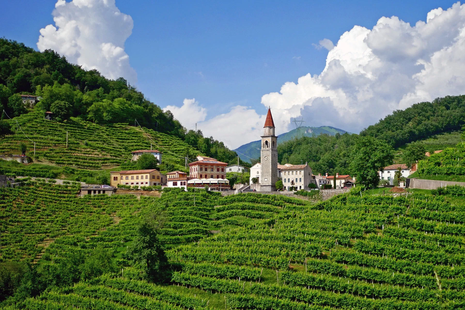 prosecco tour valdobbiadene